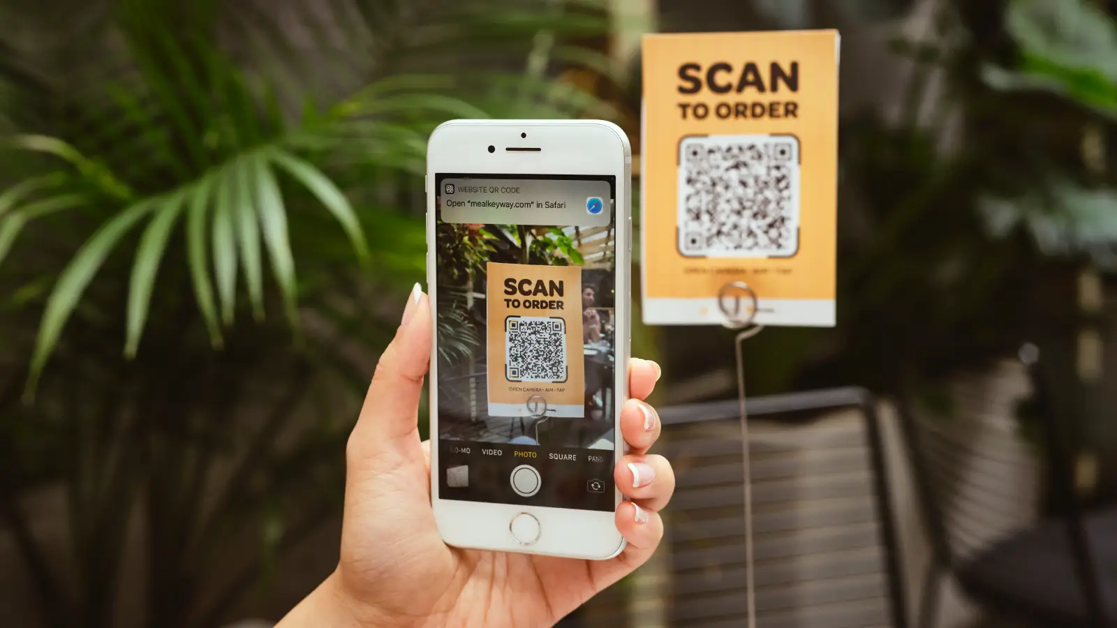 顾客使用手机扫描餐桌上的二维码点餐。手机屏幕上显示‘扫码点餐’,并且已经识别出二维码链接。背景中可以看到放置在餐桌上的点餐二维码标牌,周围是绿色植物,环境显得温馨自然。